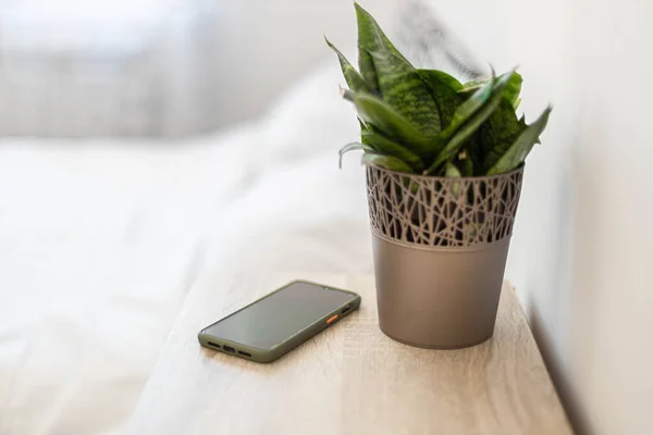 Черный смартфон на тумбочке. Зеленое растение в цветочном горшке на столе в спальне на фоне кровати — стоковое фото