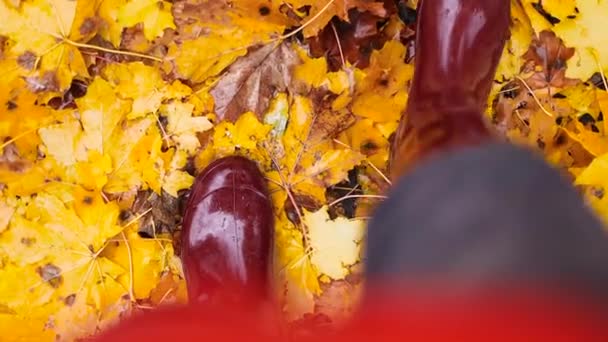 Widok z góry kobiety w czerwonych gumowych butach spaceruje po mokrych żółtych liściach klonu w jesiennej pogodzie. Żółte, pomarańczowe i czerwone liście jesieni w pięknym jesiennym parku. — Wideo stockowe