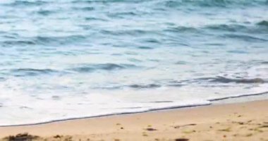 Güneşli bir günde deniz kıyısında mavi doğal dalgalar. Yaz tatili ve seyahat konsepti