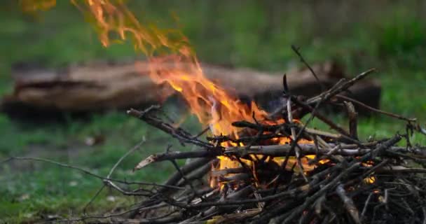 Μεγάλη φωτιά την ημέρα στο δάσος. Πεζοπορία, περιπέτεια και εποχιακές διακοπές έννοια — Αρχείο Βίντεο