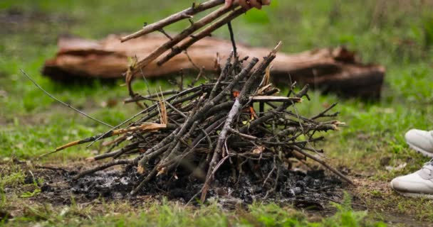Ateşe biraz daha odun ekliyorum. Ormanda yanan kamp ateşi. Doğal ahşap kütük arka planda yerde yatar. Yürüyüş, macera ve mevsimlik tatil kavramı. — Stok video
