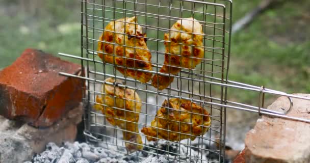 Les cuisses de poulet sont cuites sur le feu dans la forêt d'automne. La fumée des charbons monte dans l'air — Video