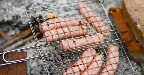 Salsichas de carne grelhadas em fogo aberto. Fogueira em chamas na floresta. — Vídeo de Stock