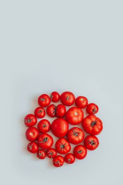 Taze olgun domatesler gri arka planda daire şeklinde, dikey fotoğraf. Duvar kağıdı olarak kullanılabilir. Organik sebzeler.