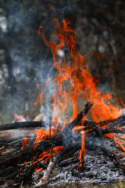 Burning coal in the bonfire. — Stock Photo, Image