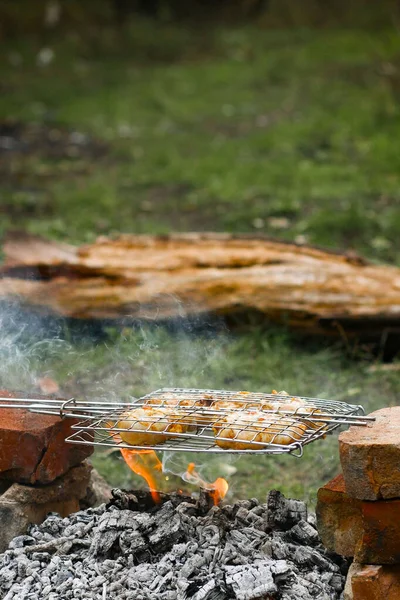 Lagerfeuer zum Grillen oder Grillen im Wald. Auf Holzkohle gebackene Scheiben gebratenes Hühnchen. Lagerfeuer — Stockfoto