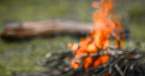 Bonfire in the forest for grill or bbq picnic,shallow depth of field — Stock Photo, Image