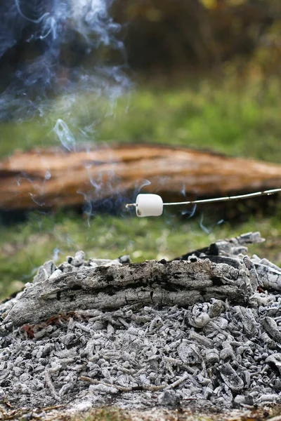 Marschmelow kocht auf offenem Feuer. Kohlen vom Lagerfeuer im Wald in Großaufnahme — Stockfoto