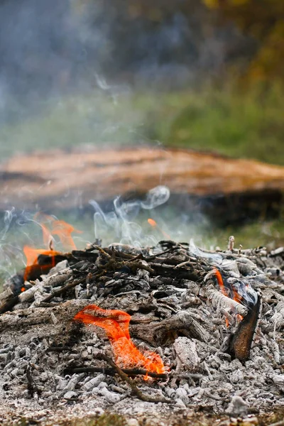 Coals of a campfire in the forest closeup — Stock Photo, Image