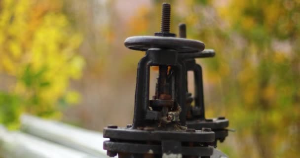 Conceito de fornecimento de aquecimento. gasoduto grande metálico com torneira preta e uma válvula na rua na temporada de outono — Vídeo de Stock