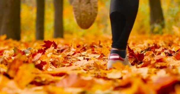 Sportlerin läuft im Herbstwald. Nahaufnahme eines Athleten, der durch herbstlich orangefarbene Blätter läuft — Stockvideo