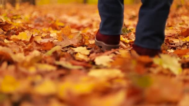 走在秋天的森林里。穿着深红色靴子的时髦女人在公园里享受秋天的天气。美丽的女人走在秋天的森林里. — 图库视频影像