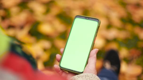 緑、クロマキーモバイル画面でスマートフォンを保持女性の手。秋の公園に座って携帯電話を使用して女の子 — ストック動画