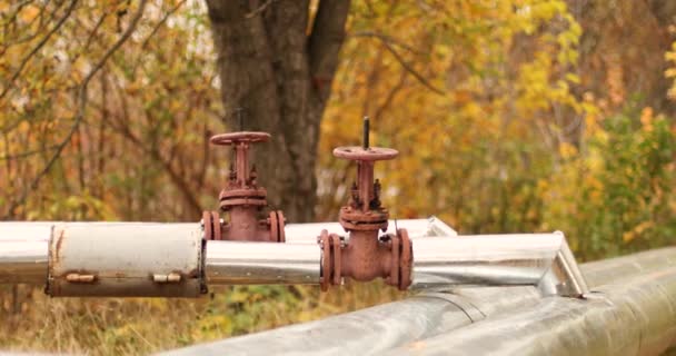Heating supply concept. Metallic large pipeline with black tap and a valve on the street in the fall season — Stock Video