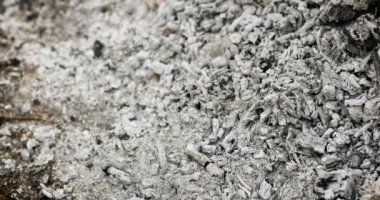 Ormanda piknik sonrası kömür külü ve duman.