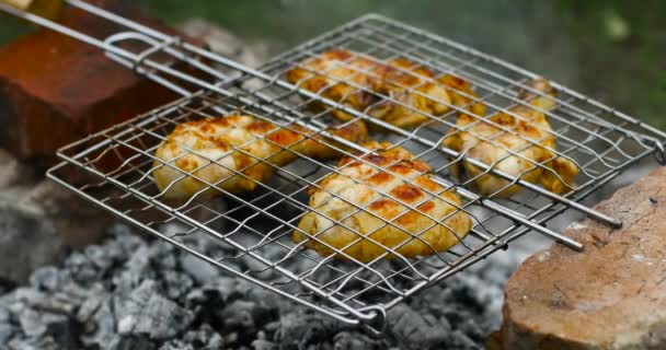 Jambes de poulet parfumées sur un feu ouvert. Activité extérieure et barbecue — Video