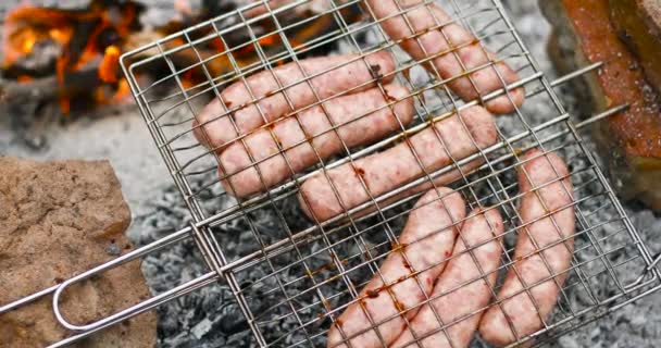 Embutidos de carne de res o cerdo en una fogata abierta en el bosque. Quemando hoguera. Camping de otoño — Vídeo de stock