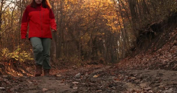 Путешественница в спортивной одежде ходит по осенней тропинке с опавшими листьями через осенний лес. Пешие прогулки и путешествия — стоковое видео