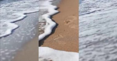 Güneşli bir yaz gününde kıyıya vuran öfkeli deniz dalgalarının güzel köpüğü. 4k video