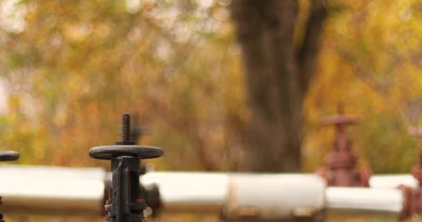Shiny steel metal pipes and brown valves and valves for industrial central heating — Stock Footage Shiny steel metal pipes and brown valves and valves for industrial central heating Video Clip