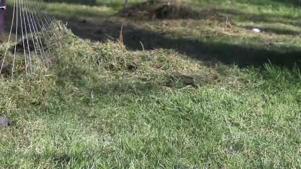 Voorjaarsschoonmaak in de tuin, close-up hark reinigen van groen gras — Stockvideo