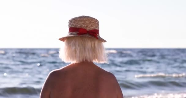 快乐自由的女人看着蓝色的海平线全景. — 图库视频影像