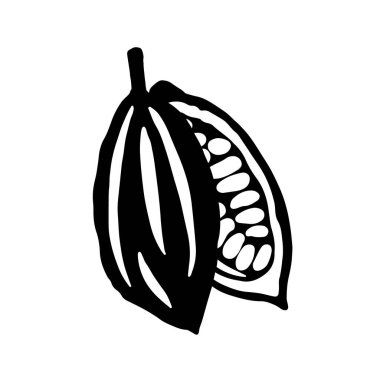 Kakao kabukları ve kakao fasulyesi ikonu. Beyaz arka planda izole edilmiş çikolata bazlı. Vektör çizimi. Logo şablonu