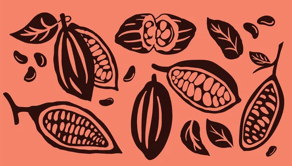 Cialda Cacao Molti Fagioli Crudi Insieme Isolato Uno Sfondo Arancione — Vettoriale Stock