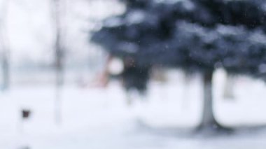 Karla kaplı ağaçlar. Kışın ormanda kar yağışı. Kış havasında karlı köknar ağacıyla bulanık Noel sahnesi.