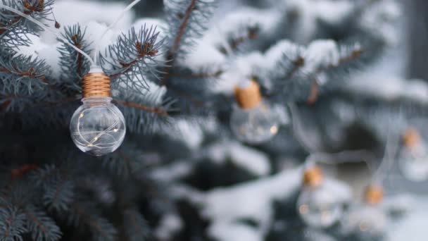 Новорічна вічнозелена ялинка зі свіжим снігом і сяючим світлом гірляндний декор в зимову холодну погоду. Снігопад взимку в лісі. Снігові покриті деревами . — стокове відео