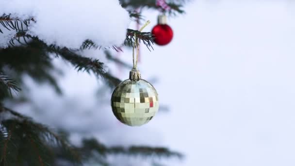 Ялинові гілки зі снігом на ньому та різдвяні іграшки. Святкове освітлення на ялинках на вулицях. Снігові покриті деревами . — стокове відео