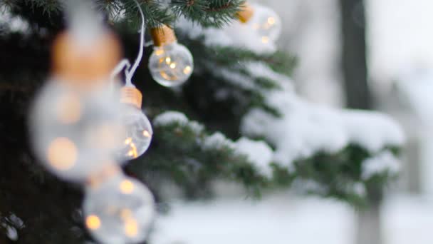 通りのモミの木にお祭りの照明。雪に覆われた木。モミの木の枝に降る雪は — ストック動画