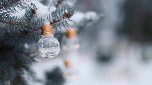 Fir tak zwaar bedekt met verse sneeuw. Koude sneeuw valt bij de dennenbomen takken — Stockvideo