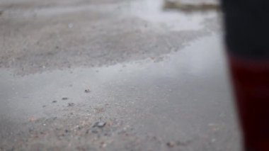 Kırmızı lastik çizmeli kadın yağmurdan sonra güz çamur birikintisinde yürür.