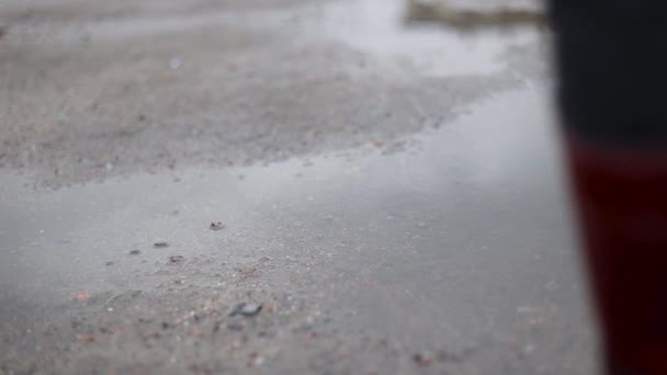 Donna in stivali di gomma rossa passi attraverso in autunno pozzanghera fangosa dopo la pioggia — Video Stock