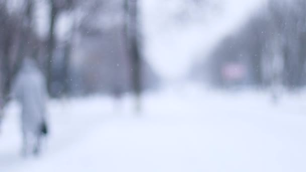 冷たい雪が降る。大人の背中の多くのぼやけたシルエットや、冬の寒い雪の公園を美しい霜の朝に歩く子供たちのグループ — ストック動画