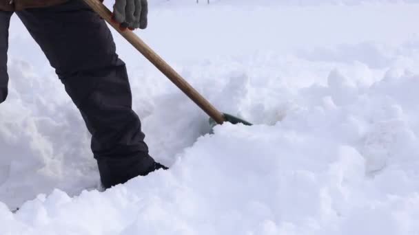 Le mani di uomo con pala di neve puliscono marciapiedi su cortile in inverno. Orario invernale. — Video Stock