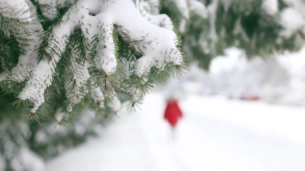 Rozmyta sylwetka dziewczynki spacerującej zimą po zimowym śnieżnym parku. Piękne świerki gałęzie posypane białym puszystym śniegiem. — Wideo stockowe