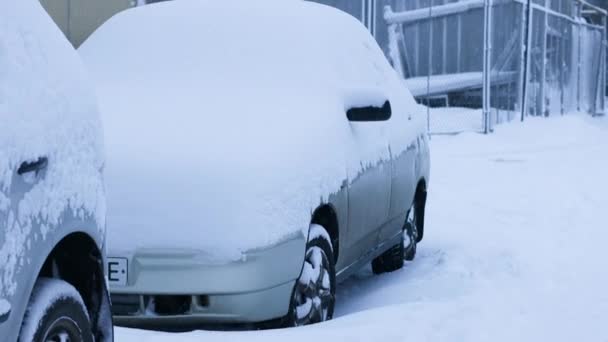Grå bil under snön på sidan av vägen en kall morgon. Tung snö på gatan. Kall snö faller. — Stockvideo