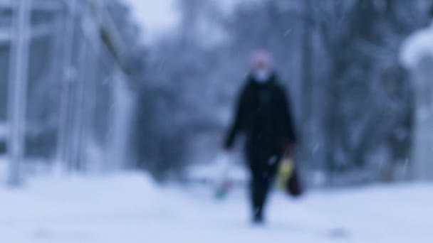 冬の自然風景の中に雪に覆われた木。冬の雪景色。冬の寒い雪の公園で屋外を歩く大人の女性のシルエット. — ストック動画