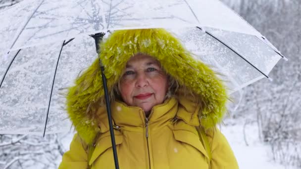 Веселой прогулки. Счастливая взрослая женщина в желтой теплой одежде с прозрачным зонтиком стоит и улыбается под тяжелым снегом. — стоковое видео