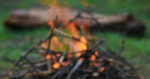 Még több fát rakok a tűzre. Homályos háttér videó egy égő tábortűz piknik az erdőben. A kirándulás, kaland és szezonális nyaralás fogalma. — Stock videók