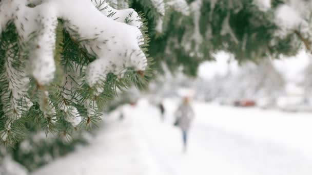 冬の自然風景の中に雪に覆われた木。冬の雪の木の景色。冬の雪景色。冬の冷たい雪の公園を歩く大人の人々の多くのぼやけたシルエット. — ストック動画