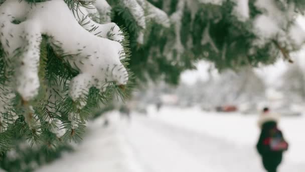 美丽的云杉树枝撒满了白雪.带着书包在冬季寒冷的雪地公园里散步的小女孩毛茸茸的轮廓. — 图库视频影像