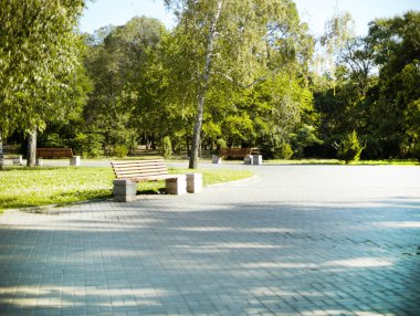 Yazın bahçedeki ya da parktaki ahşap banklar