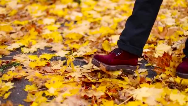 Női lábak farmerban és piros cipőben sétálnak egy őszi parkban egy napsütéses napon. — Stock videók