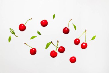 Beyaz arka planda yeşil yapraklı kiraz üzümü yükseliyor. Böğürtlen yaz geçmişi. Düz konum, üst görünüm, kopyalama alanı