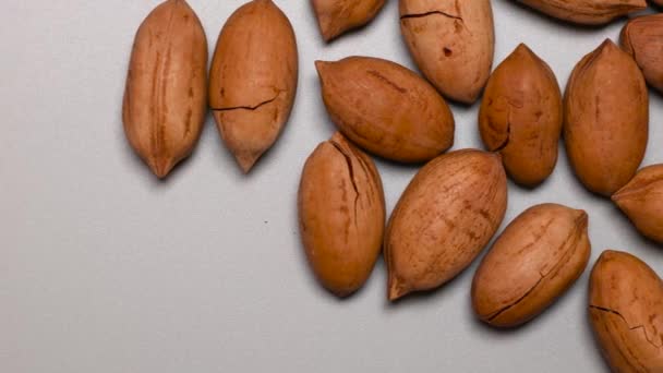 Pekan ořechy v tvrdé skořápce s prasklinami na šedém pozadí s kopírovacím prostorem — Stock video