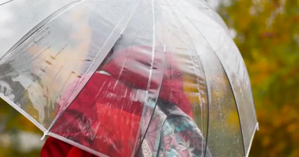 Женщина наслаждается дождливой погодой. Она стоит под зонтиком. Осеннее настроение, желтые листья — стоковое видео
