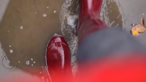 Женщина в резиновых красных водонепроницаемых сапогах идет через осенние грязевые лужи в холодную погоду после дождя — стоковое видео